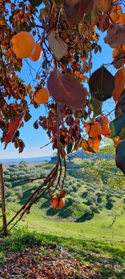 Terrazza San Vettore Maser Esterno foto